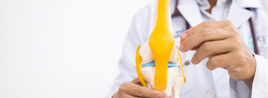 Artrosis de rodilla: enfoque actual del manejo kinesiológico