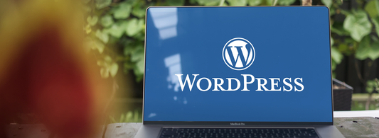 Aprendiendo mantención web con WordPress