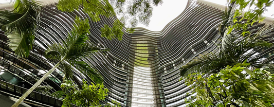 Infraestructura verde urbana y soluciones basadas en naturaleza