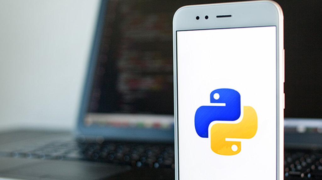 Python: tu camino a nuevas oportunidades profesionales