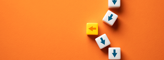 Adaptación y autogestión en el cambio