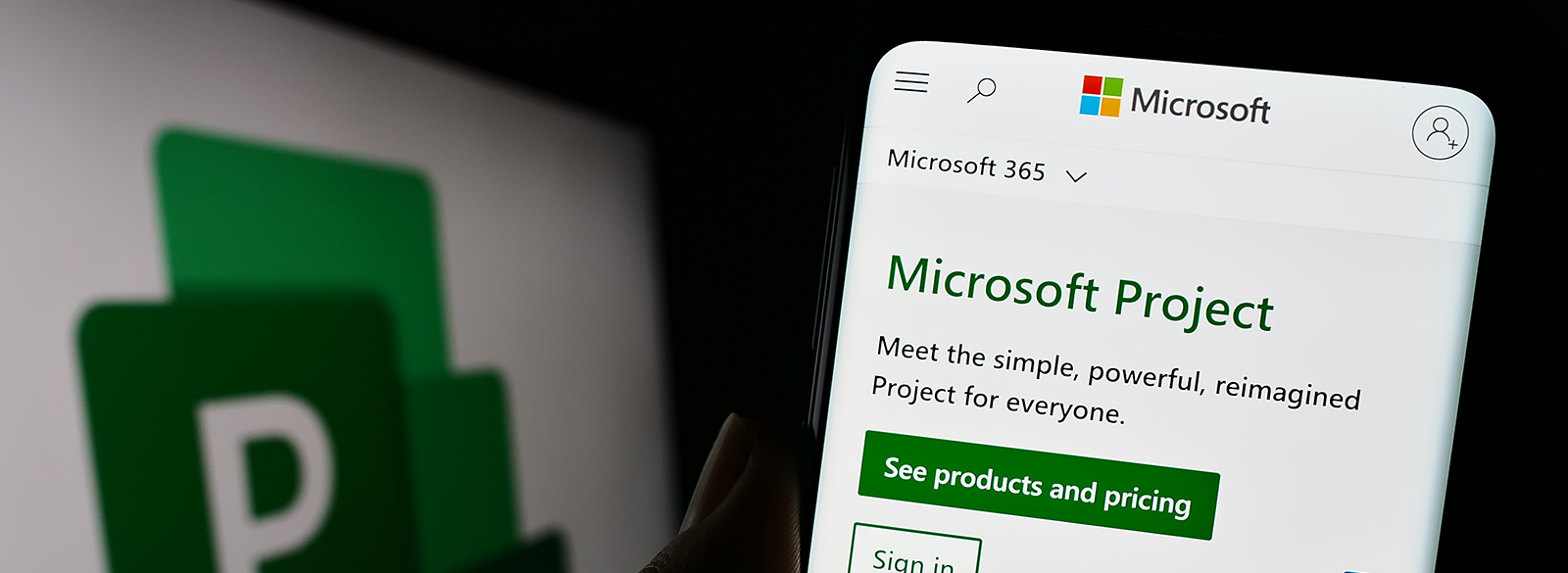 Microsoft Project intermedio