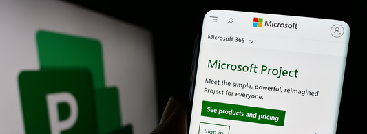 Microsoft Project intermedio