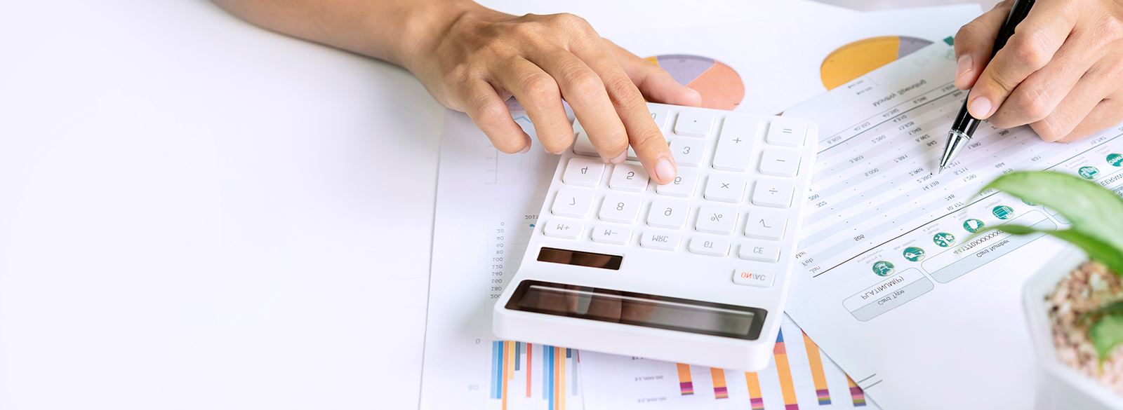 Presupuesto y finanzas en la organización