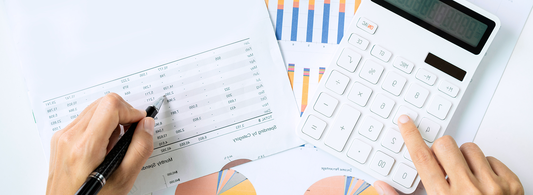 Aprendiendo Flujo de caja, presupuesto y gestión financiera